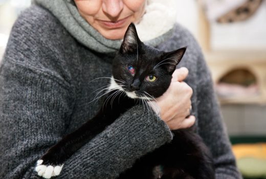 Nancy, EKH, Juni 2015