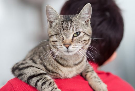 Tobi, EKH, August 2015