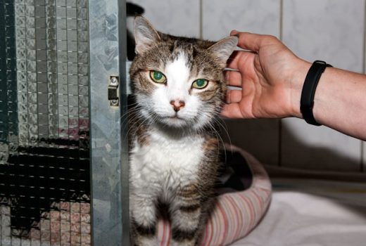 Minka, EKH,  Mai 2000