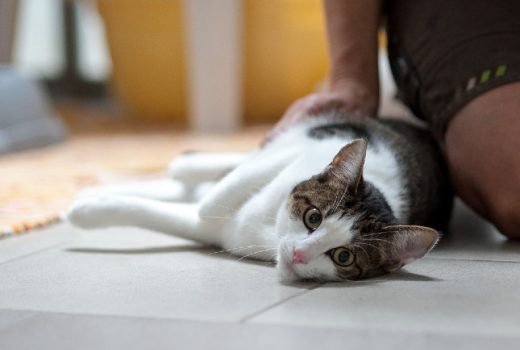 Milena & Virginia, EKH, 06.05.2015