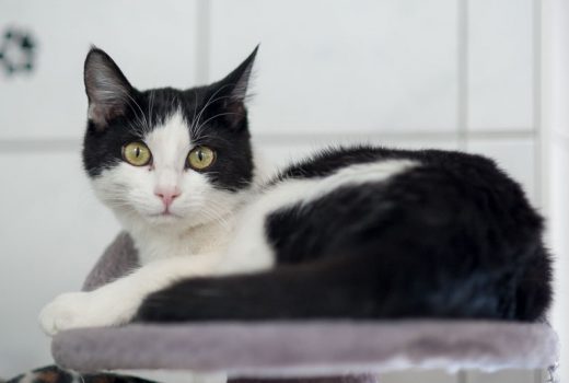 Eugenia, EKH, Juli 2016