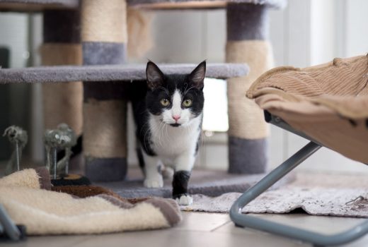 Lars, EKH, Juli 2016