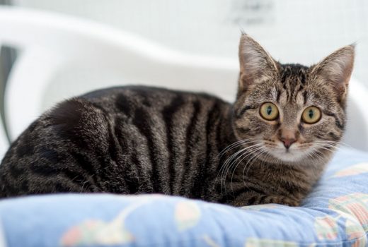 Luigi, EKH, Mai 2016