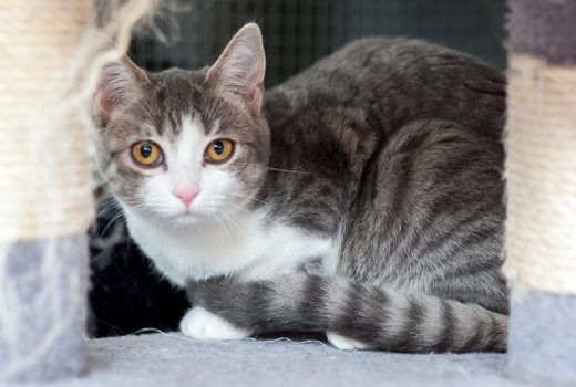 Emma, EKH, geb. 08/2016