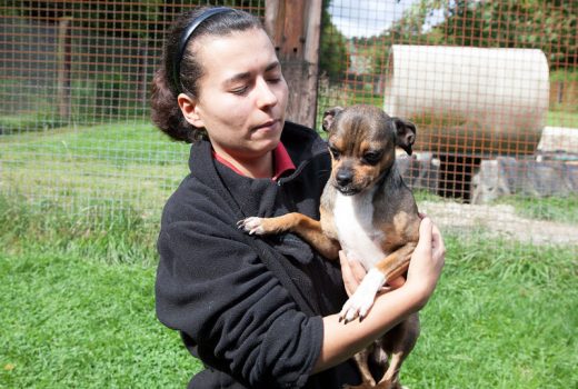 Gisbert, Chihuahua, 2012
