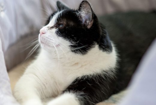 Lilli, EKH, Mai 2014