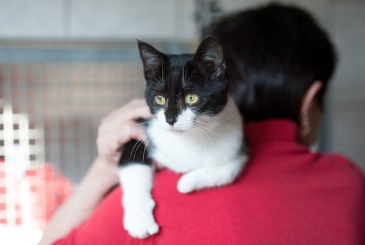 Evelyn, EKH, Aug. 2017