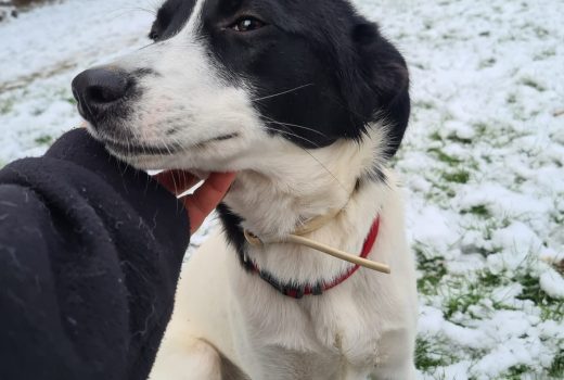 Fini, Mix, April 2020