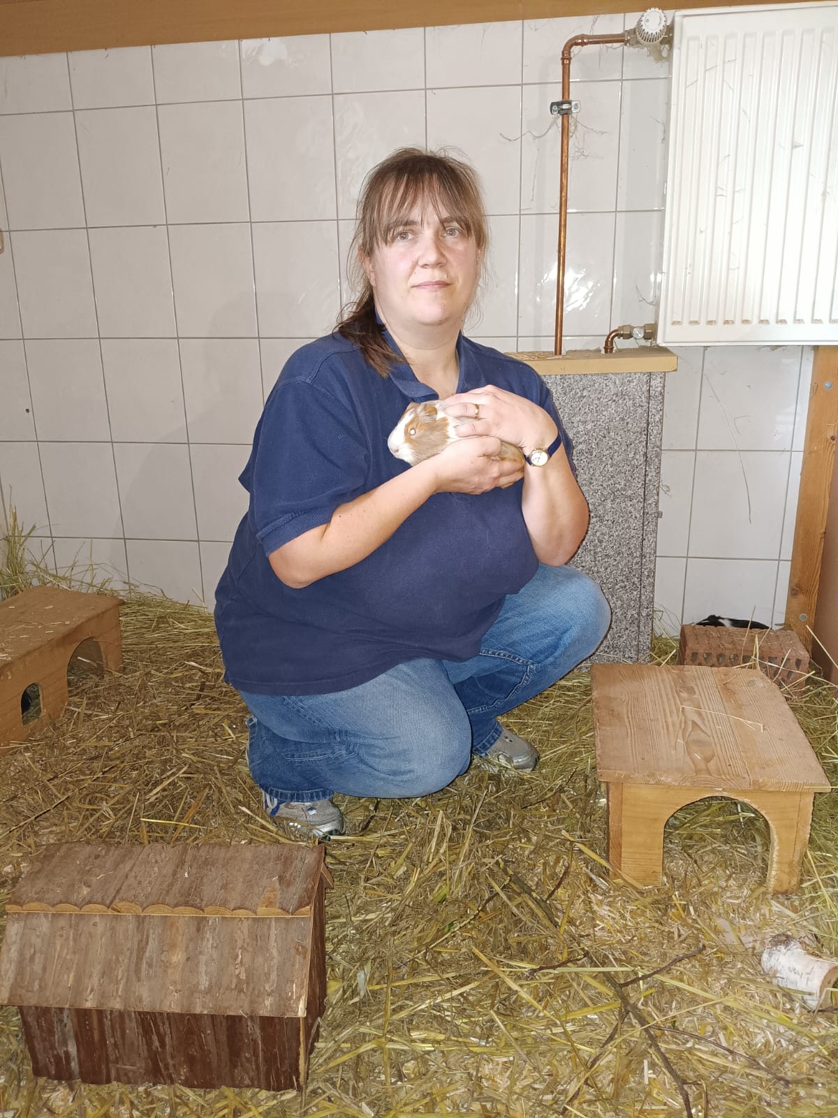 Stefanie Wittig - Katzen Stefanie Wittig - Katzen