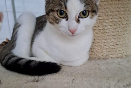 Olivia – EHK geb. 12.04.2024