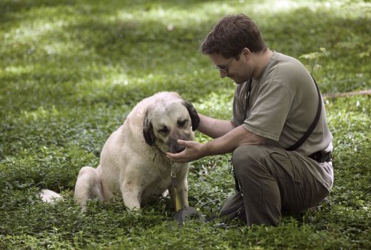 Linda, Kangal, unbekannt