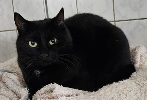 Kiara geb.2023 Kiara geb.2023