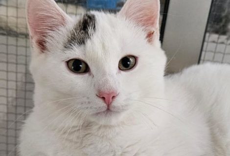 Cosimo geb. 15.07.2025 Cosimo geb. 15.07.2025