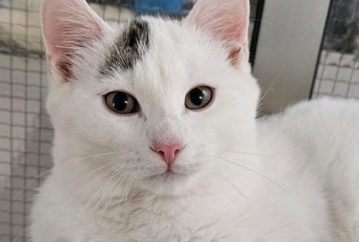 Cosimo geb. 15.07.2025