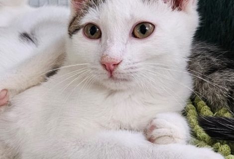 Diego geb 30.05.2025 Diego geb 30.05.2025