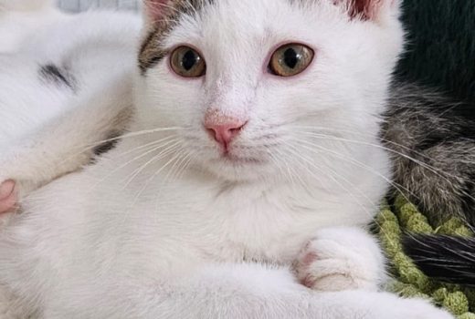 Diego geb 30.05.2025