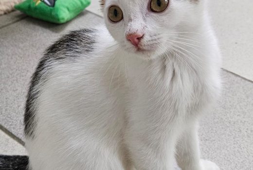 Conner geb. 30.05.2025