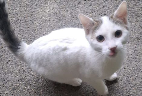 Barbara geb 30.05.2025 Barbara geb 30.05.2025