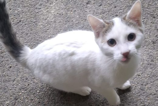 Barbara geb 30.05.2025