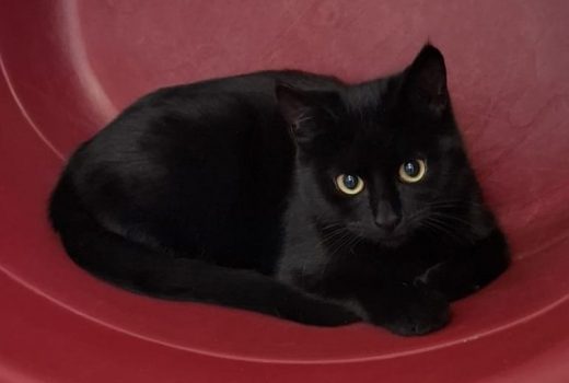 Motte und Makario geb 07.2025