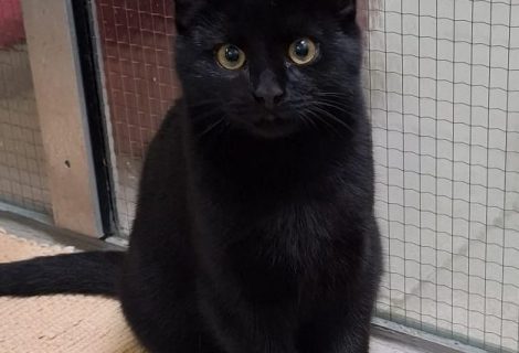 Marros geb. 07.2025 Marros geb. 07.2025